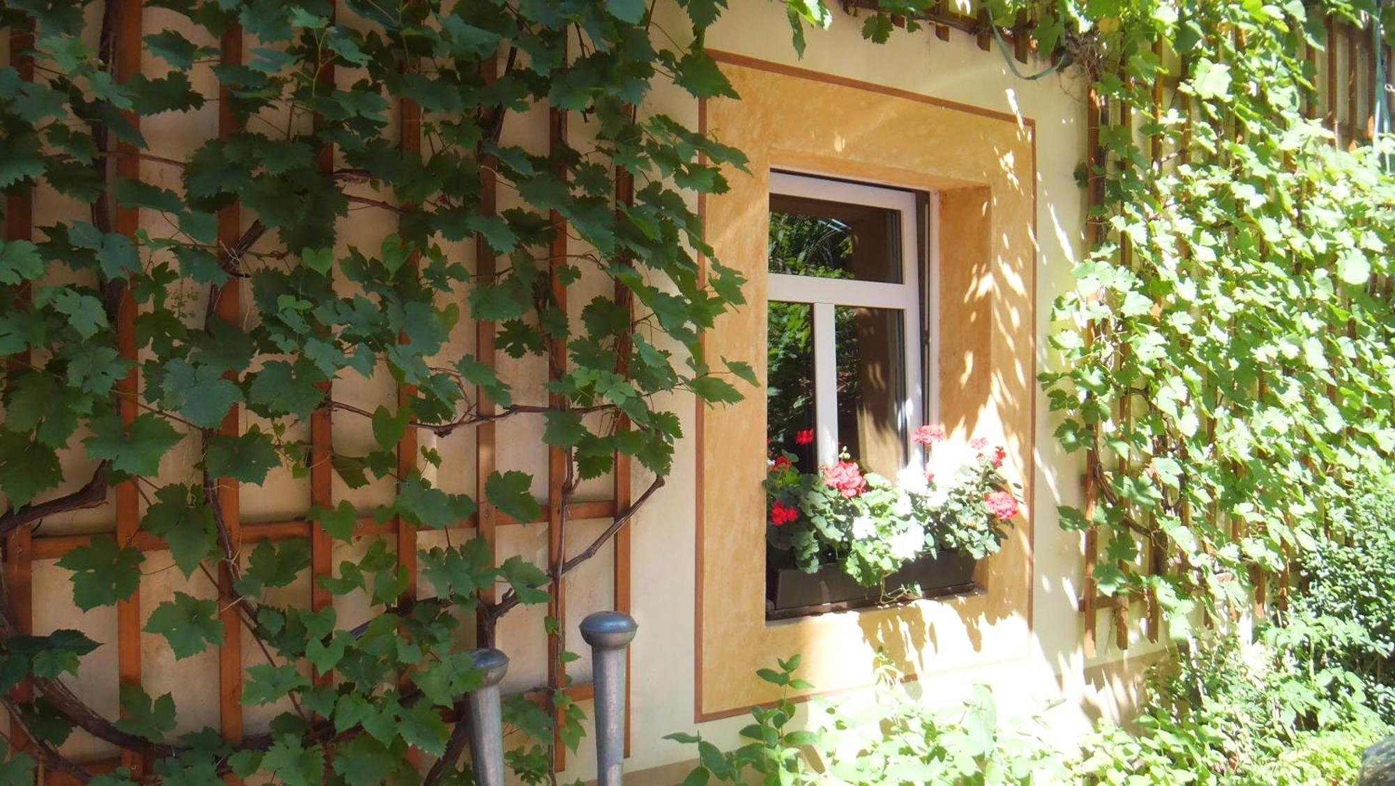 Hotel Schlossberg Meißen Exterior foto